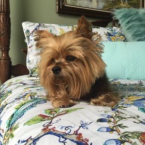 Meet your Posher, Robin